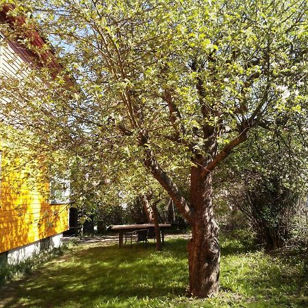 Renovated Semi- Basement 2 Bedrooms Furnished Apartment - Close To Everything In Moss Zewnętrze zdjęcie