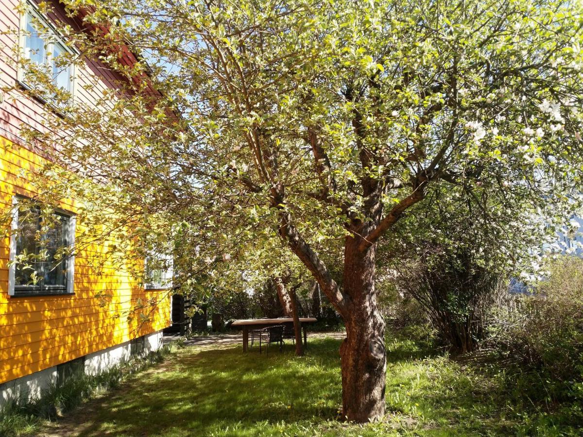 Renovated Semi- Basement 2 Bedrooms Furnished Apartment - Close To Everything In Moss Zewnętrze zdjęcie